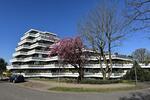 Terrassenwohnung Schermbeck - 3 Zimmer, 106 m&sup2;, 895&euro; | Angebot:26677822
