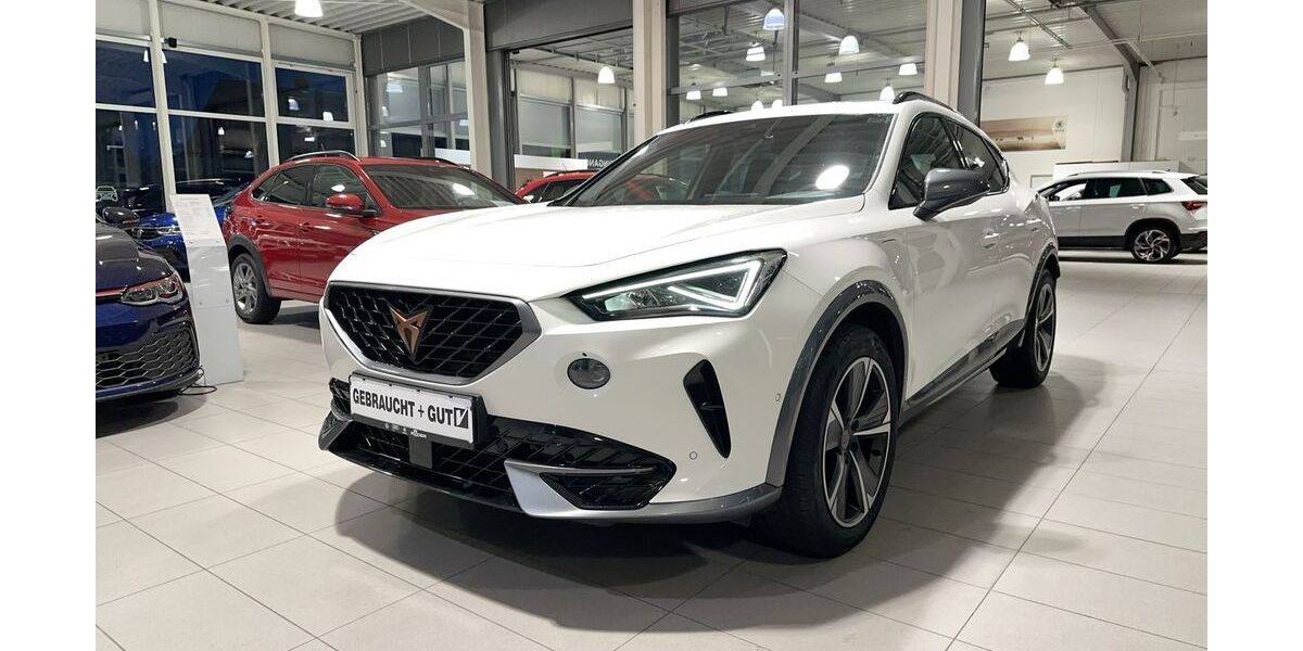 Cupra Formentor 59.130 km 24.550 &euro; Hünxe 46569