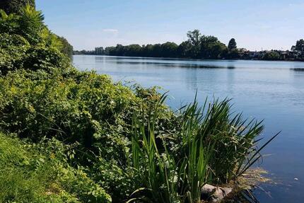 Haus Rees - 42.500&euro; | Angebot:25404447