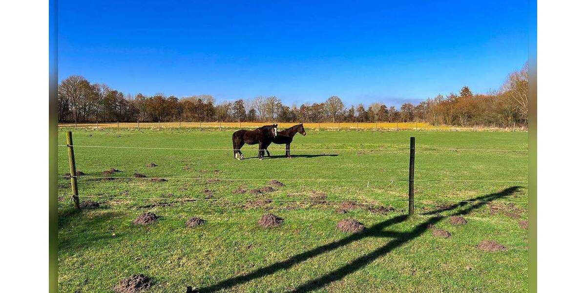 Bauernhaus, Landhaus Bocholt Suderwick - 9 Zimmer, 426 m&sup2;, 939.000&euro; | Angebot:26473125