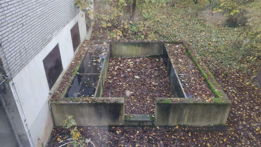 Mehrfamilienhaus, Wohnhaus Rees Grietherbusch - 1 Zimmer, 466 m&sup2;, 114.000&euro; | Angebot:25746881