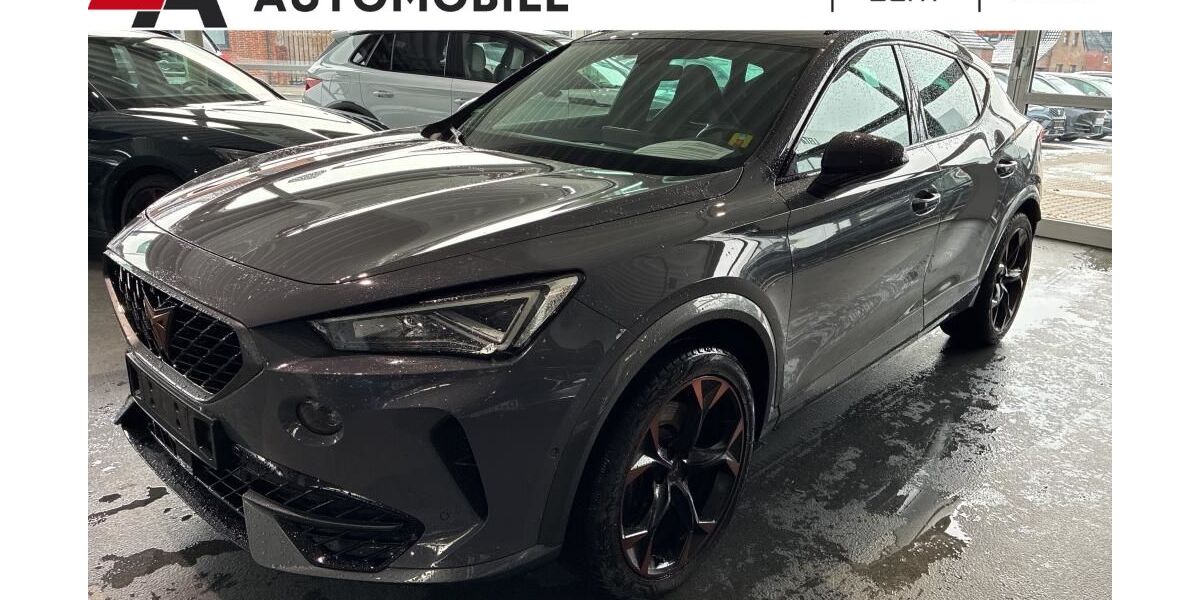 Cupra Formentor 58.686 km 25.746 &euro; Bocholt 46395