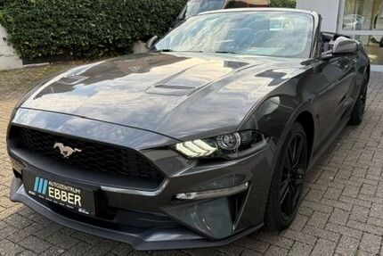 Ford Mustang 71.520 km 28.990 &euro; Borken 46325