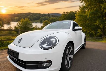 VW Beetle 95.000 km 11.990 &euro; Reken 48734
