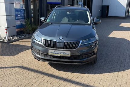 Skoda Karoq 112.000 km 18.900 &euro; Vreden 48691