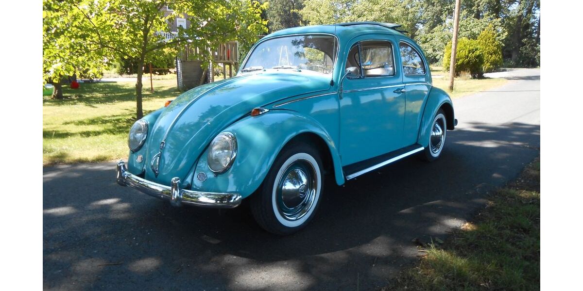 VW Käfer 81.900 km 22.998 &euro; Velen 46342