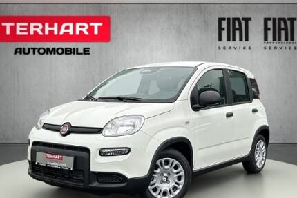Fiat Panda 9.999 km 14.987 &euro; Stadtlohn 48703
