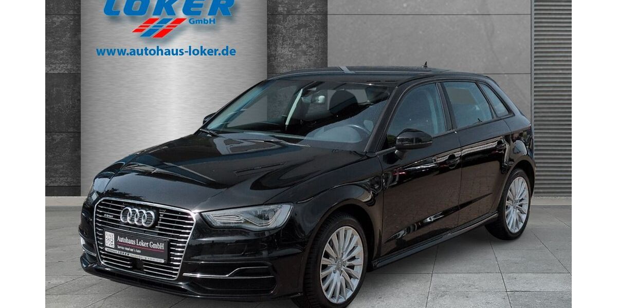 Audi A3 113.672 km 13.800 &euro; Raesfeld - Erle 46348