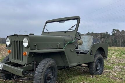 Jeep Willys 28.000 km 13.500 &euro; Gescher 48712