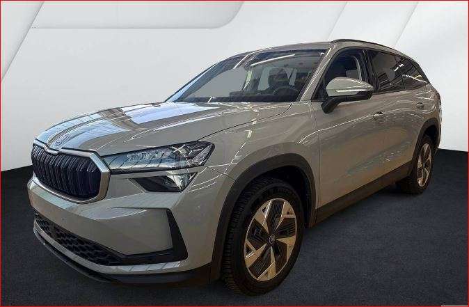 Skoda Kodiaq 20.070 km 46.950 &euro; Hünxe 46569