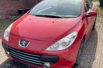 Peugeot 307 244.000 km 1.200 &euro; Rees 46459