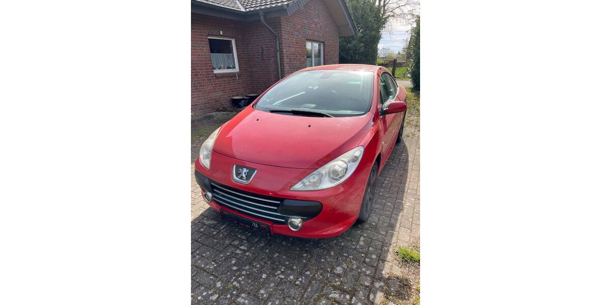 Peugeot 307 244.000 km 1.200 &euro; Rees 46459