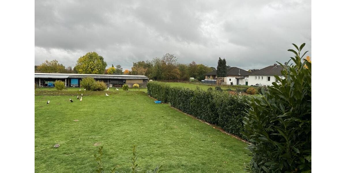 Mehrfamilienhaus, Wohnhaus Emmerich am Rhein - 10 Zimmer, 160 m&sup2;, 457.000&euro; | Angebot:25367037