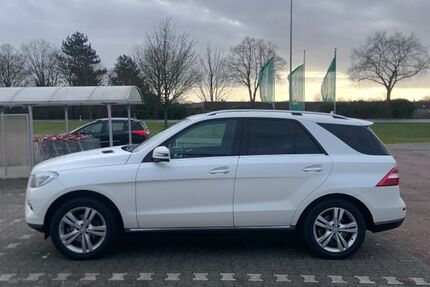 Mercedes-Benz ML 350 365.950 km 12.300 &euro; Wesel 46485