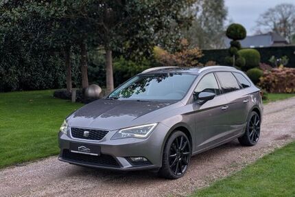 Seat Leon 158.625 km 10.499 &euro; Bocholt 46399