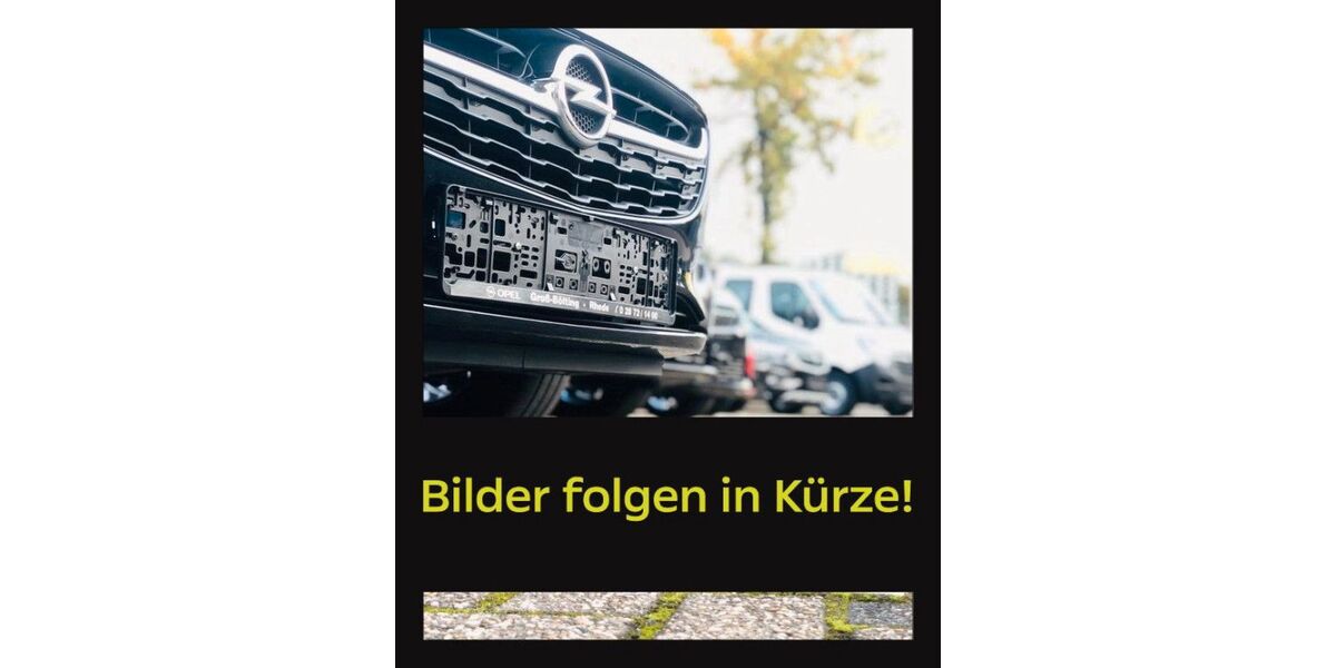 Opel Grandland (X) 45.690 km 17.900 &euro; Rhede 46414