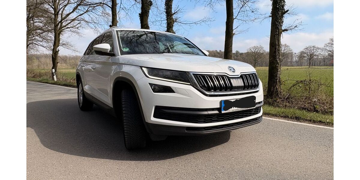 Skoda Kodiaq 84.300 km 24.100 &euro; S 48703