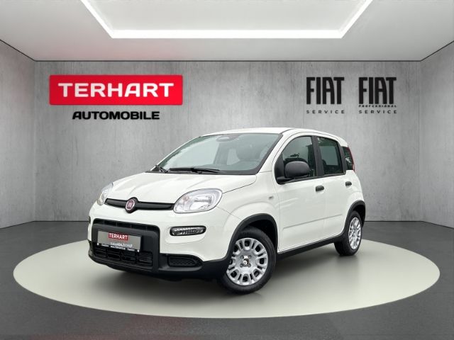 Fiat Panda 5.999 km 14.987 &euro; Stadtlohn 48703