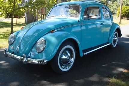 VW Käfer 81.900 km 22.998 &euro; Velen 46342