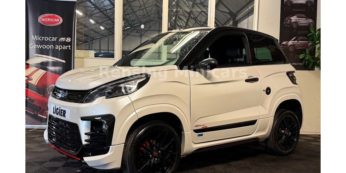 Ligier JS 60 3.410 km 16.950 &euro; Vreden 48691