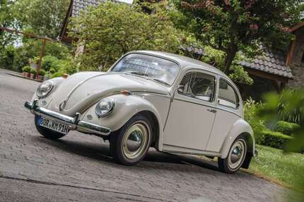 VW Käfer 91.000 km 29.999 &euro; Isselburg 46419