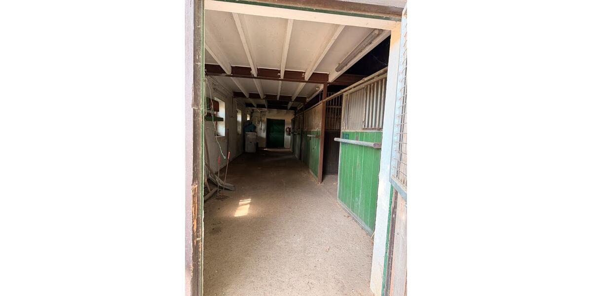 Einfamilienhaus Rees - 3 Zimmer, 320 m&sup2;, 699.000&euro; | Angebot:27080103