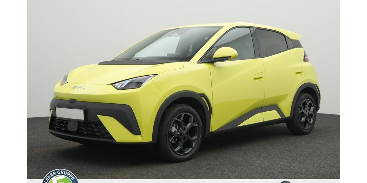 BYD DOLPHIN 1.500 km 23.949 &euro; Borken 46325