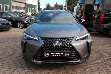 Lexus UX 66.000 km 23.990 &euro; Bocholt 46395