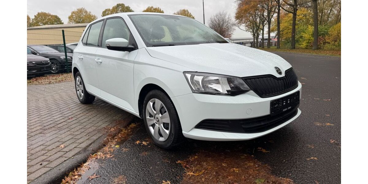 Skoda Fabia 89.000 km 7.980 &euro; XANTEN 46509