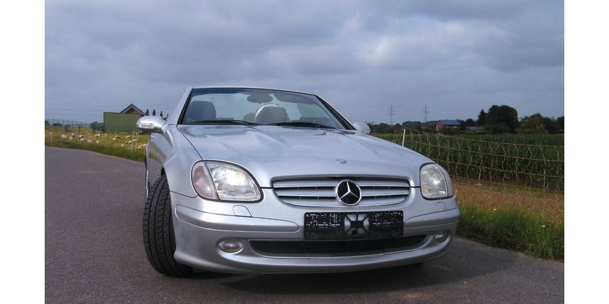 Mercedes-Benz SLK 200 156.000 km 9.999 &euro; Rees 46459