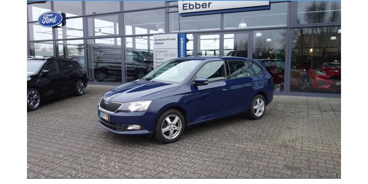 Skoda Fabia 74.350 km 10.852 &euro; Rees 46459