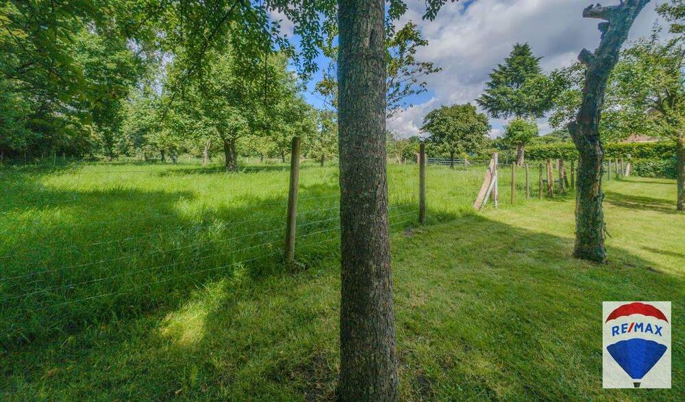 Mehrfamilienhaus, Wohnhaus Kalkar Appeldorn - 6 Zimmer, 250 m&sup2;, 898.000&euro; | Angebot:25672799