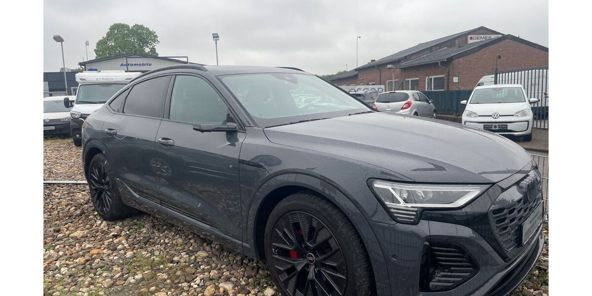 Audi Q8 19.900 km 51.999 &euro; Vreden 48691