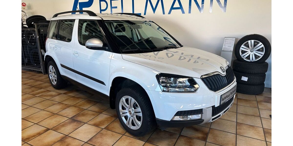 Skoda Yeti 162.817 km 8.890 &euro; Reken 48734