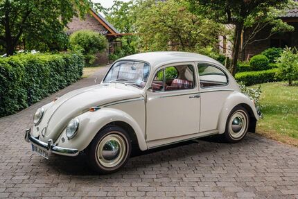 VW Käfer 90.260 km 29.999 &euro; Isselburg 46419