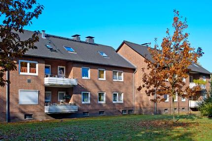 Wohnung Bocholt Stenern - 2 Zimmer, 43 m&sup2;, 459&euro; | Angebot:26042956