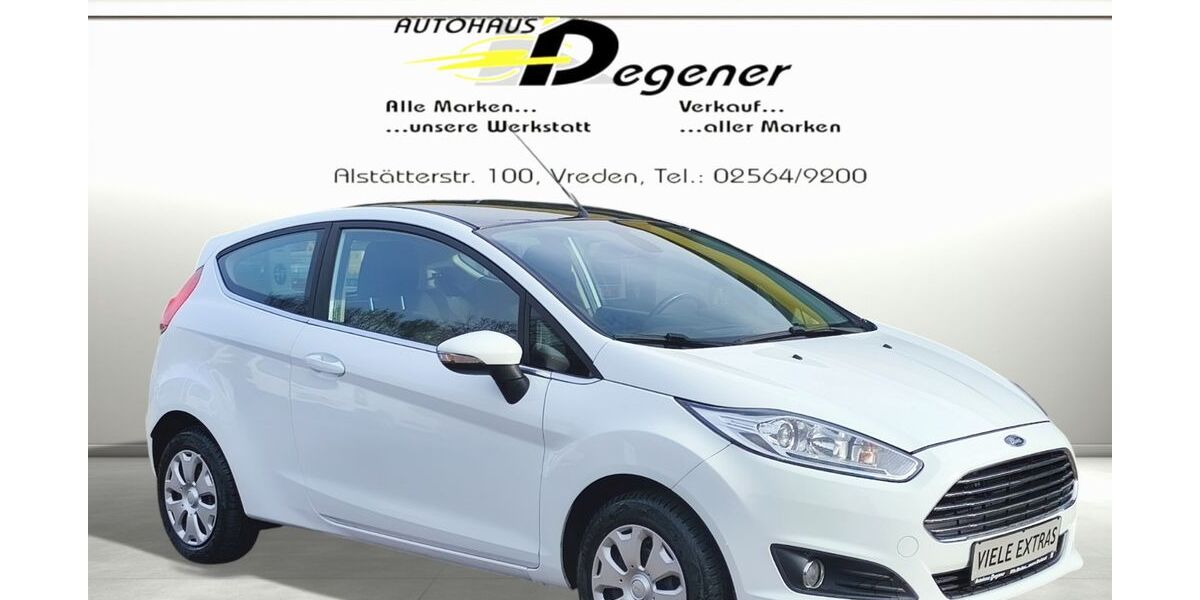 Ford Fiesta 117.042 km 8.831 &euro; Vreden 48691