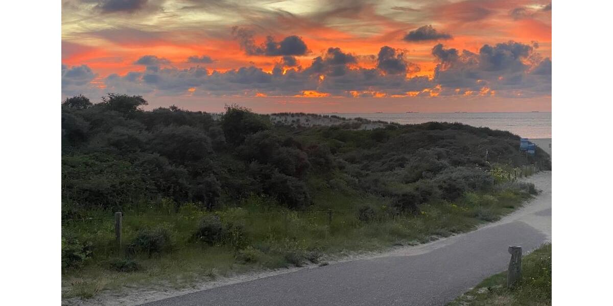 Etagenwohnung Rees - 1 Zimmer, 85 m&sup2;, 800&euro; | Angebot:25514448