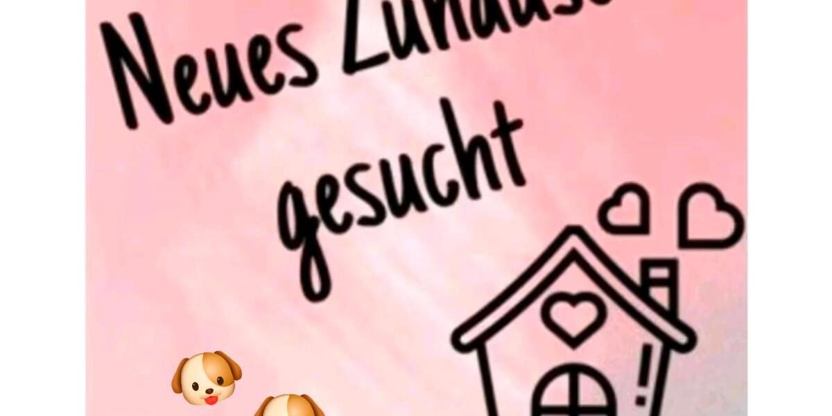 Etagenwohnung Borken - 3 Zimmer, 85 m&sup2;, 1.300&euro; | Angebot:24787039