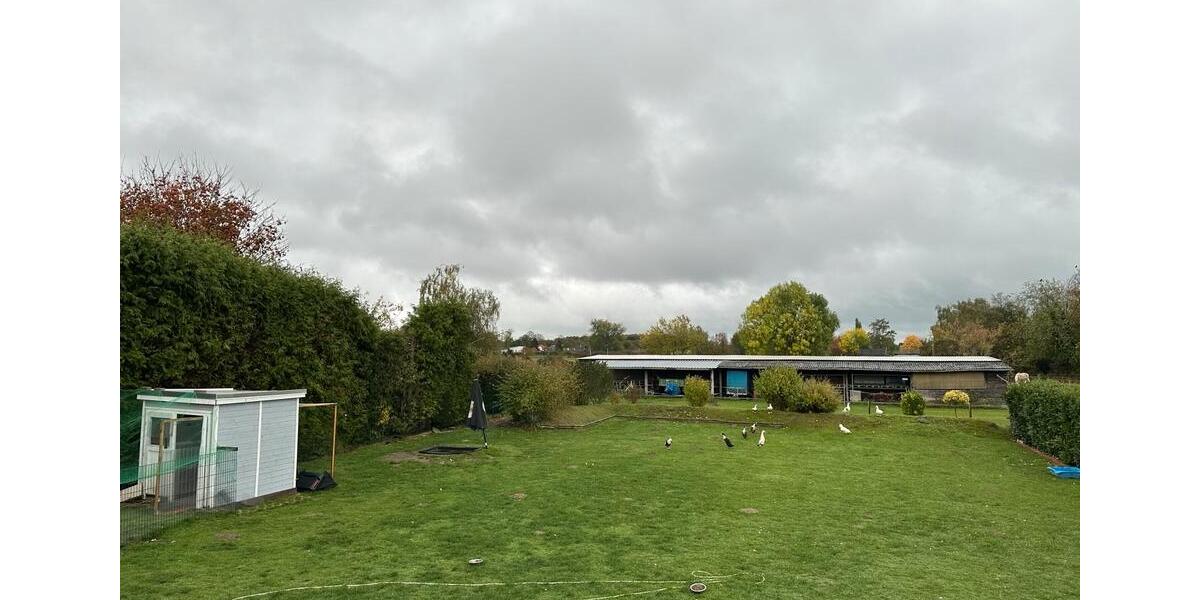 Mehrfamilienhaus, Wohnhaus Emmerich am Rhein - 10 Zimmer, 160 m&sup2;, 457.000&euro; | Angebot:25367037