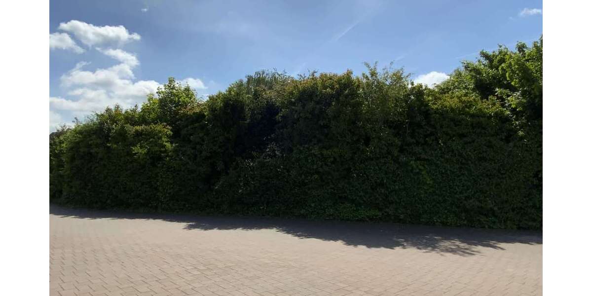Grundstück Vreden - 259.000&euro; | Angebot:26791395