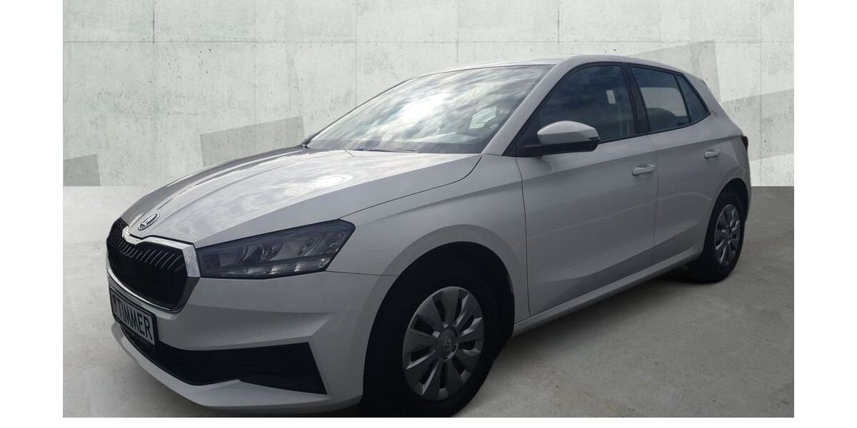 Skoda Fabia 48.598 km 13.980 &euro; Borken 46325