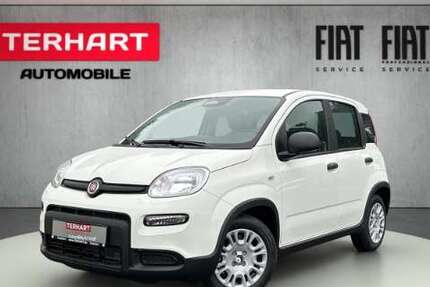 Fiat Panda 9.999 km 14.987 &euro; Stadtlohn 48703