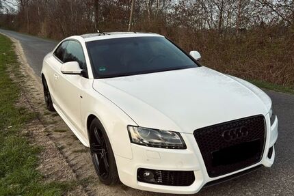 Audi A5 220.000 km 8.000 &euro; Vreden 48691