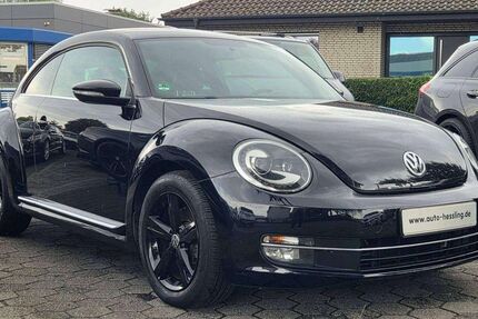 VW Beetle 183.000 km 7.000 &euro; Raesfeld-Erle 46348