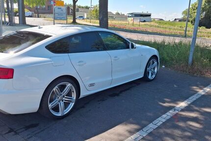Audi A5 218.000 km 13.300 &euro; Vreden 48691